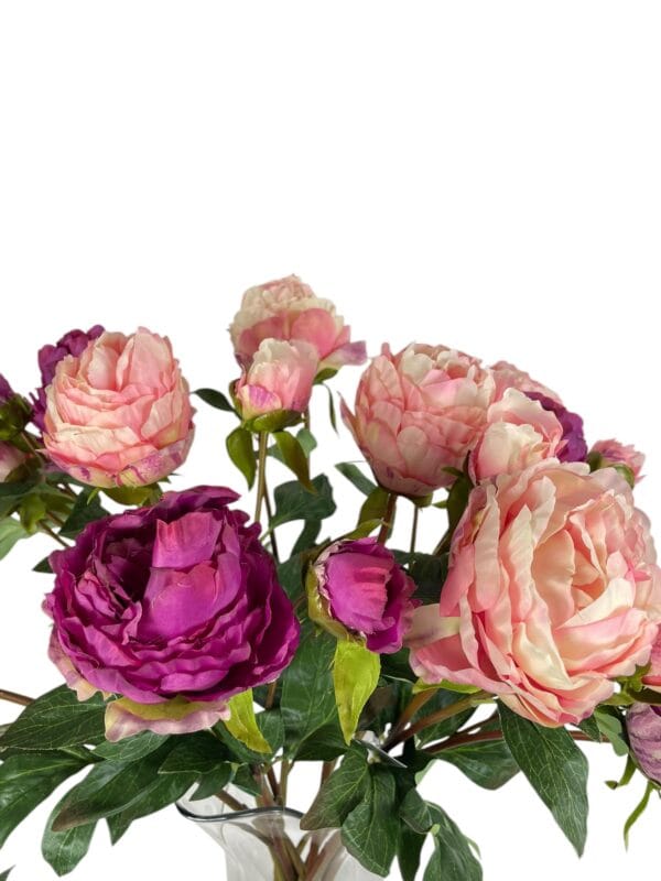 peonia rosada cerrada