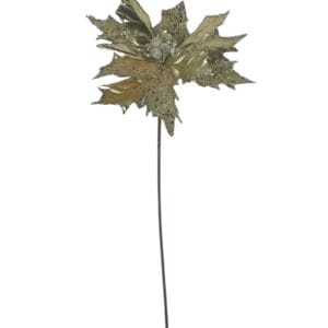 Poinsettia Champagne 30 cm