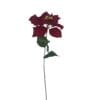 Poinsettia Roja 75cm