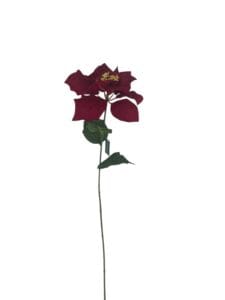 Poinsettia Roja 75cm
