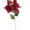 Poinsettia Roja 75cm
