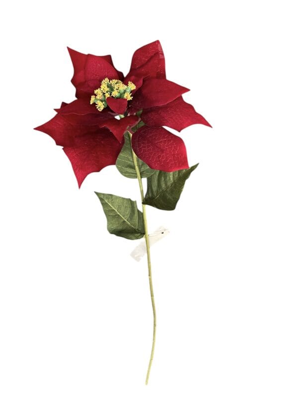 Poinsettia Roja 75cm