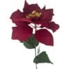 Poinsettia Roja 75cm