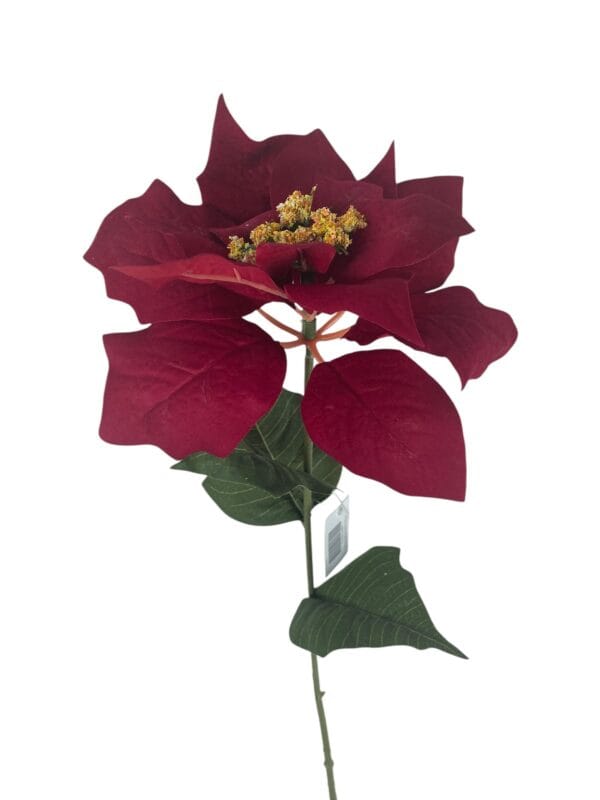 Poinsettia Roja 75cm