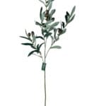 Rama de Olivo 74cm