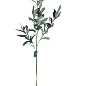 Rama de Olivo 74cm