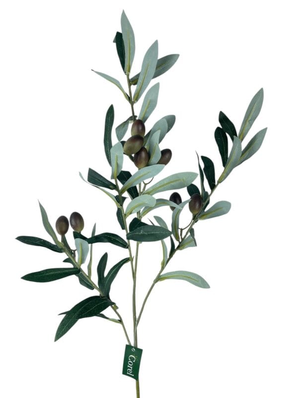 Rama de Olivo 74cm