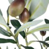 Rama de Olivo 74cm
