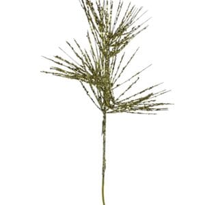 Rama Pino Dorada 75 cm