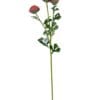 Renúnculo Rosado 73cm