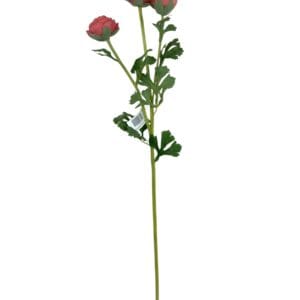 Renúnculo Rosado 73cm