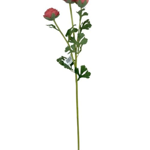 Renúnculo Rosado 73cm