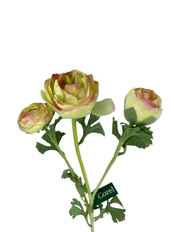 Renúnculo Verde Rosa 73cm