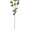Renúnculo Naranjo Claro 73cm