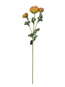 Renúnculo Naranjo Claro 73cm