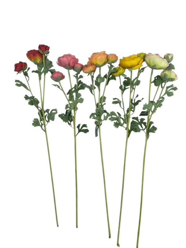 Renúnculo Naranjo Claro 73cm