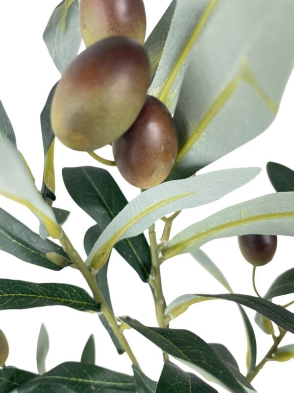 RAMA DE OLIVO (4) Árbol de Olivo 3 metros