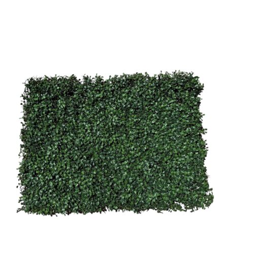 Palmeta Boxwood UV