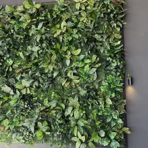 Palmeta Boxwood UV