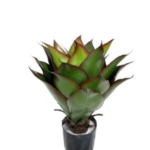 Agave de 56 cm UV