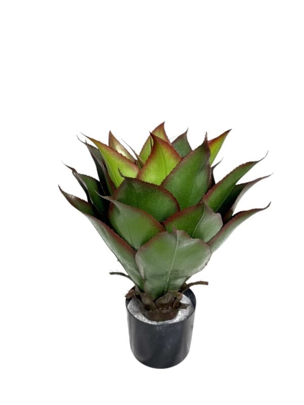 Agave de 56 cm UV