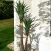 Árbol de Yuca 120 cm UV
