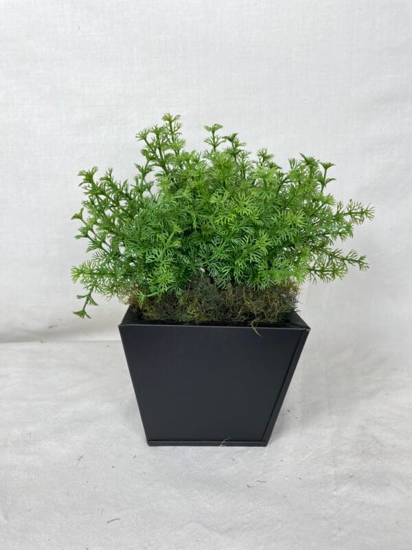 Macetero Cuadrado Negro 13cm - square pot