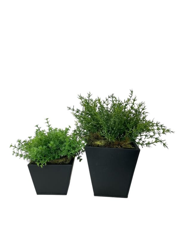 Macetero Cuadrado Negro 13cm - square pot (1)