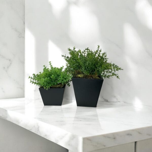 Macetero Cuadrado Negro 13cm - square pot (1)