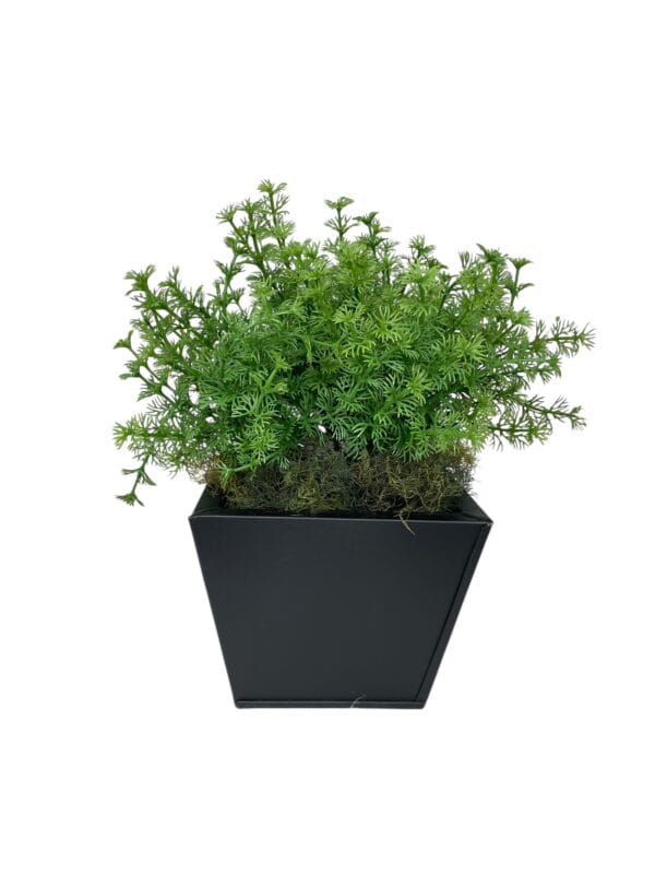 Macetero Cuadrado Negro 13cm - square pot (1)