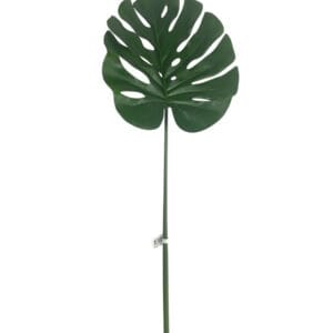 Hoja de Monstera 100cm