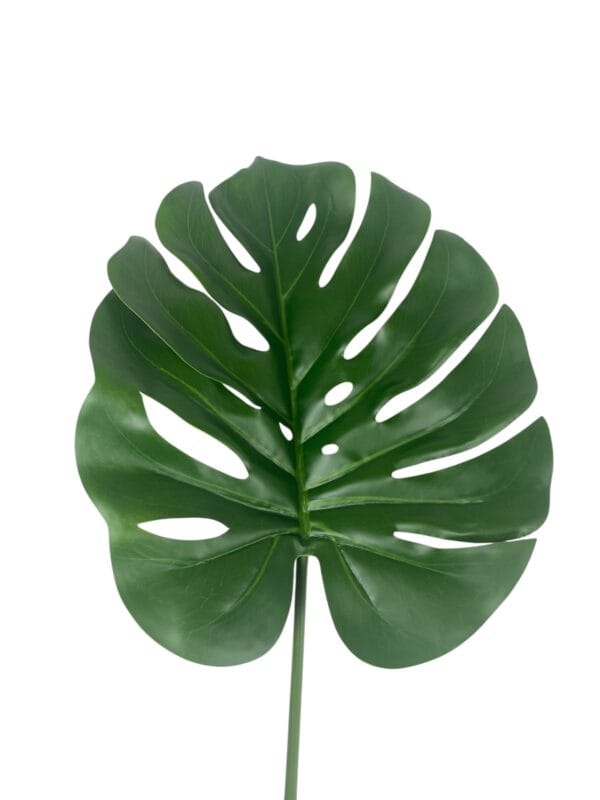 Hoja de Monstera 100cm