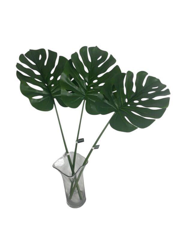 Hoja de Monstera 100cm