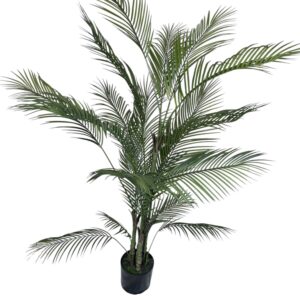 ARECA