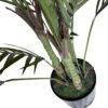 Palmera Areca Fina 1,8m 4 troncos