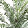 Palmera Areca Fina 1,8m 4 troncos