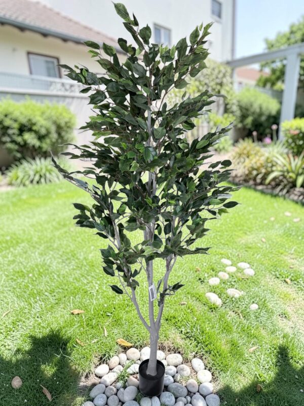 Ficus Clásico 210cm con UV