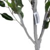 Ficus Clásico 210cm con UV
