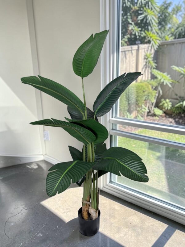 Strelitzia 150cm Con Filtro UV