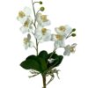 Rama Orquídea Mini 43cm
