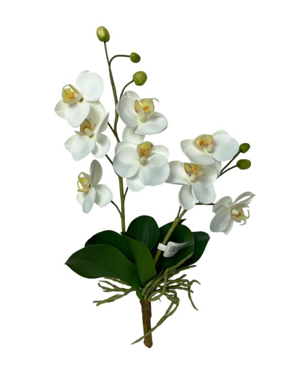 Rama Orquídea Mini 43cm