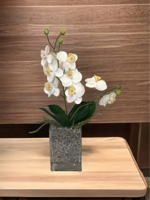 Rama Orquídea Mini 43cm