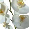 Rama Orquídea Mini 43cm