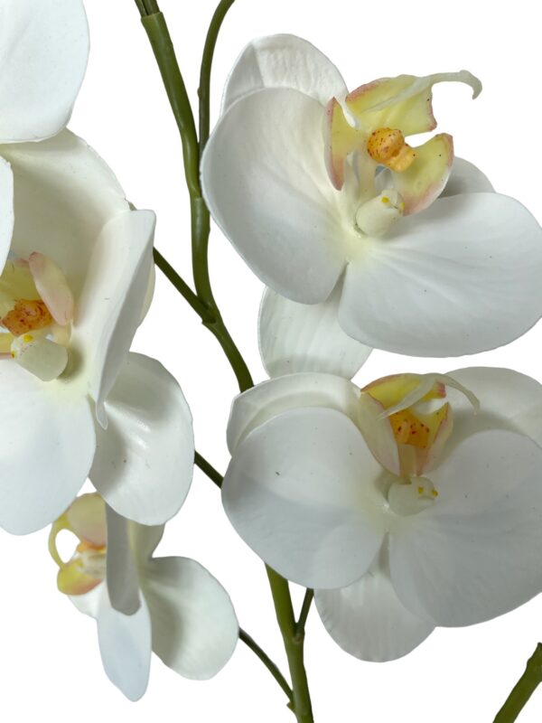 Rama Orquídea Mini 43cm